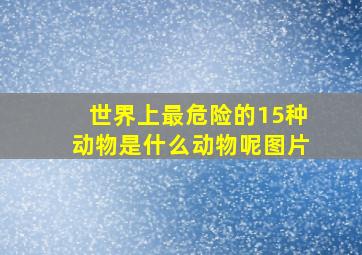 世界上最危险的15种动物是什么动物呢图片