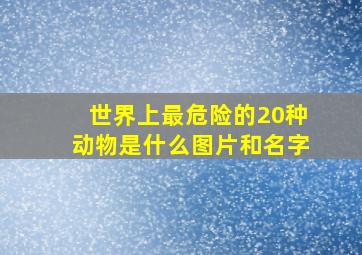 世界上最危险的20种动物是什么图片和名字