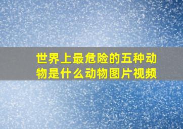 世界上最危险的五种动物是什么动物图片视频