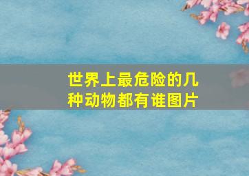 世界上最危险的几种动物都有谁图片