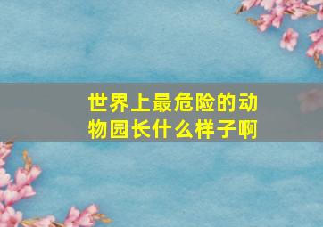 世界上最危险的动物园长什么样子啊