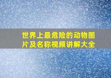 世界上最危险的动物图片及名称视频讲解大全