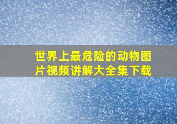 世界上最危险的动物图片视频讲解大全集下载