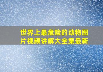 世界上最危险的动物图片视频讲解大全集最新