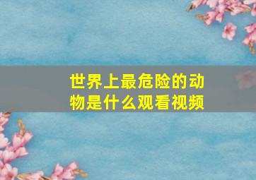 世界上最危险的动物是什么观看视频