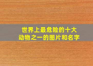 世界上最危险的十大动物之一的图片和名字