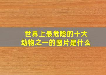 世界上最危险的十大动物之一的图片是什么