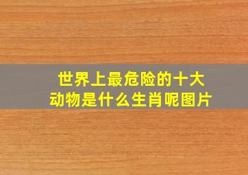 世界上最危险的十大动物是什么生肖呢图片