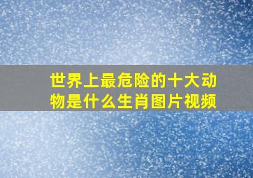 世界上最危险的十大动物是什么生肖图片视频