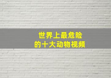 世界上最危险的十大动物视频