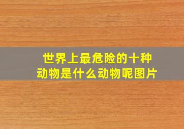 世界上最危险的十种动物是什么动物呢图片