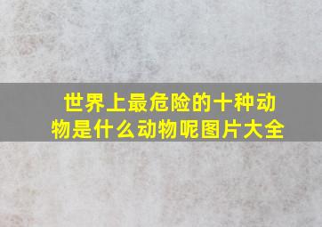 世界上最危险的十种动物是什么动物呢图片大全