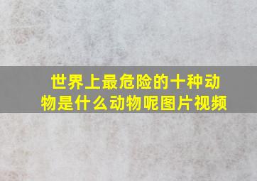 世界上最危险的十种动物是什么动物呢图片视频