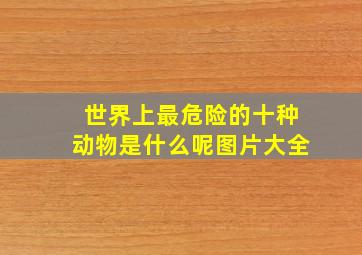 世界上最危险的十种动物是什么呢图片大全