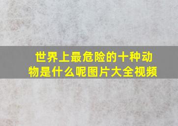 世界上最危险的十种动物是什么呢图片大全视频