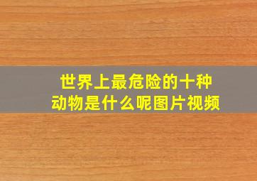 世界上最危险的十种动物是什么呢图片视频