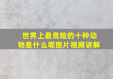 世界上最危险的十种动物是什么呢图片视频讲解