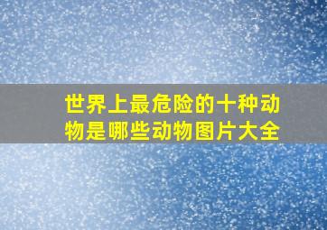 世界上最危险的十种动物是哪些动物图片大全