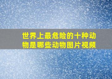 世界上最危险的十种动物是哪些动物图片视频