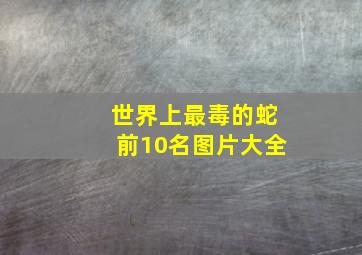 世界上最毒的蛇前10名图片大全