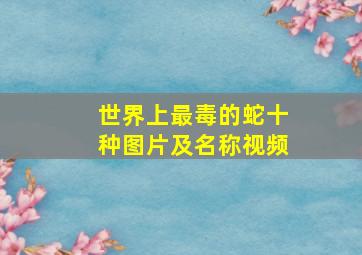 世界上最毒的蛇十种图片及名称视频