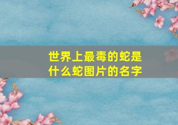 世界上最毒的蛇是什么蛇图片的名字