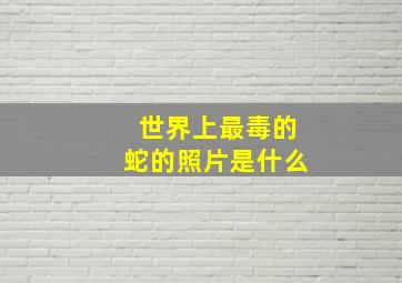 世界上最毒的蛇的照片是什么