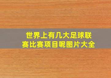 世界上有几大足球联赛比赛项目呢图片大全