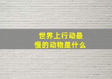 世界上行动最慢的动物是什么