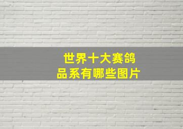 世界十大赛鸽品系有哪些图片