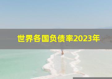 世界各国负债率2023年