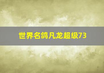 世界名鸽凡龙超级73