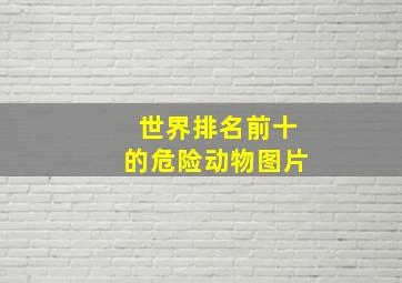 世界排名前十的危险动物图片