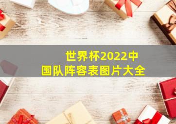 世界杯2022中国队阵容表图片大全