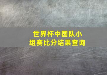 世界杯中国队小组赛比分结果查询