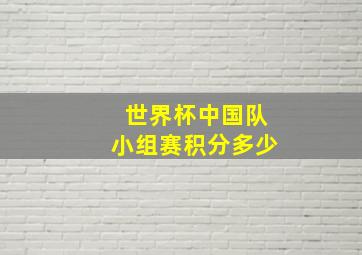 世界杯中国队小组赛积分多少