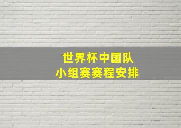 世界杯中国队小组赛赛程安排