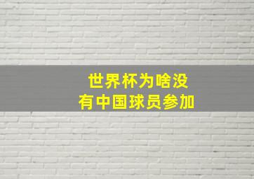 世界杯为啥没有中国球员参加