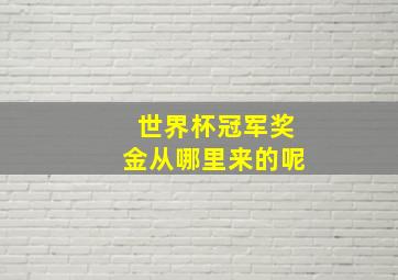 世界杯冠军奖金从哪里来的呢