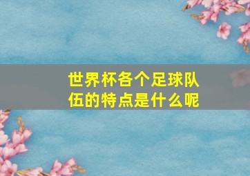 世界杯各个足球队伍的特点是什么呢