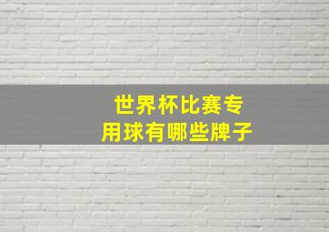 世界杯比赛专用球有哪些牌子