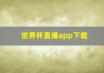 世界杯直播app下载