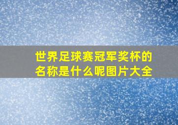 世界足球赛冠军奖杯的名称是什么呢图片大全