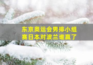 东京奥运会男排小组赛日本对波兰谁赢了