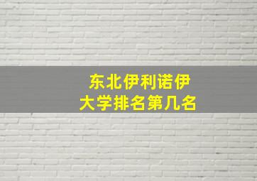 东北伊利诺伊大学排名第几名