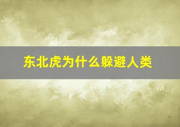 东北虎为什么躲避人类