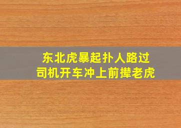 东北虎暴起扑人路过司机开车冲上前撵老虎