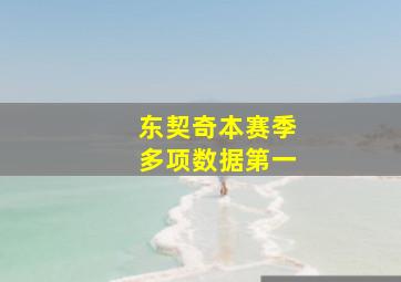 东契奇本赛季多项数据第一