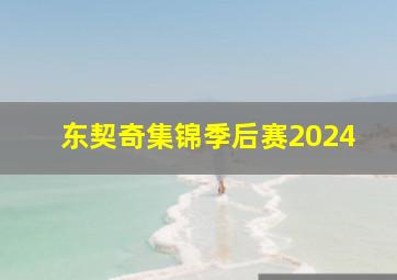 东契奇集锦季后赛2024