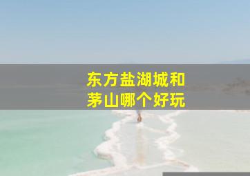 东方盐湖城和茅山哪个好玩